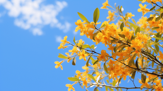 潮国创意蓝天下的桂花摄影秋天秋季