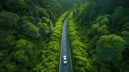 潮国创意乡村间的笔直小道公路开车森林
