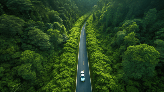 潮国创意乡村间的笔直小道公路开车森林