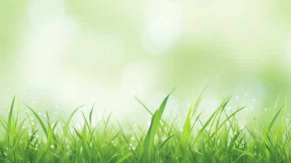 潮国创意绿色小草清新背景7草地草坪