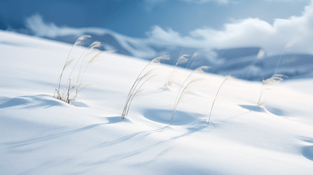 潮国创意郊外林间厚厚的积雪冬天冬季雪景雪地风景