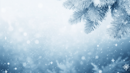 潮国创意蓝色冬天松枝上的冰晶冰花雾凇背景