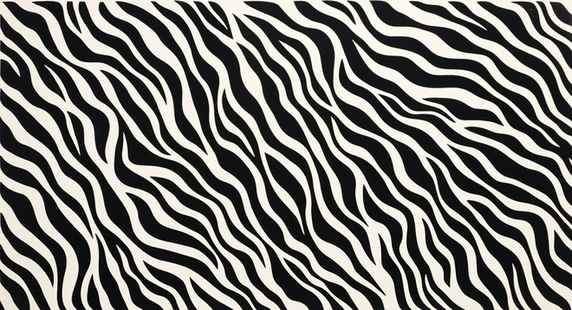 潮国创意黑白抽象波浪线条纹理背景3