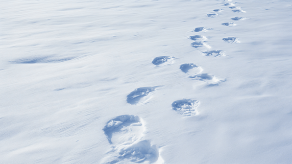 潮国创意雪地中的脚印摄影冬天冬季冬日大雪下雪