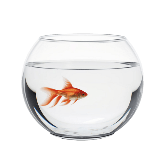 潮国创意矢量圆形鱼缸元素立体免抠图案