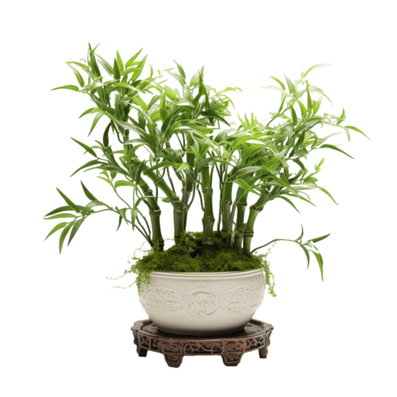 潮国创意写实竹子盆栽元素立体免扣图案