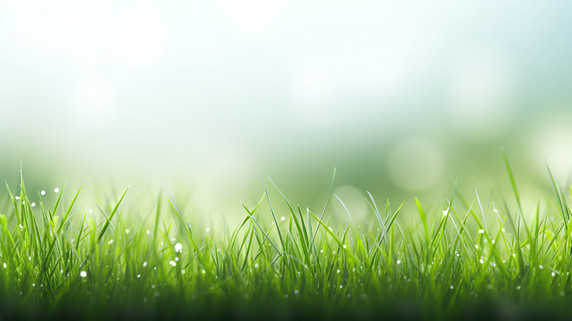 潮国创意绿色小草清新背景1草地草坪