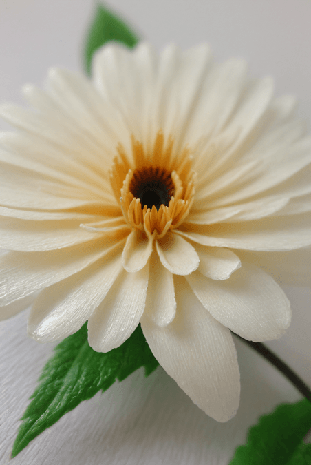 创意春天绽放的白色花朵图片17植物近景摄影