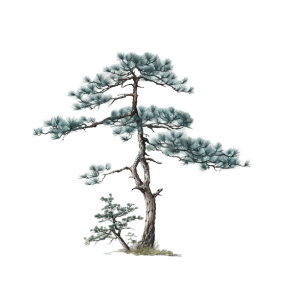 创意图形树木元素松树植物中国风水墨免抠图案