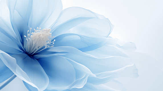 创意蓝色柔软的花瓣纹理美业植物花朵春天背景