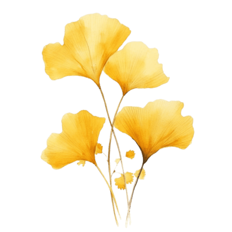 创意装饰黄色银杏叶元素植物叶子树叶免抠图案