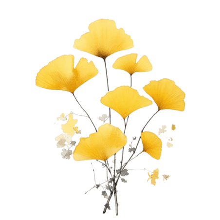 创意真实黄色银杏叶植物叶子秋天元素免抠图案