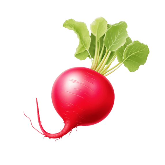 创意装饰红色萝卜农作物蔬菜元素免抠图案