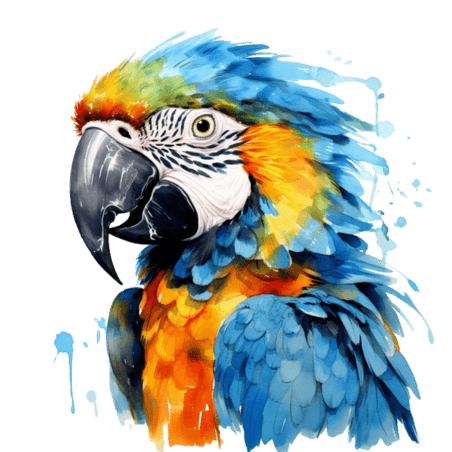 创意矢量彩色鹦鹉元素免抠图案水彩动物