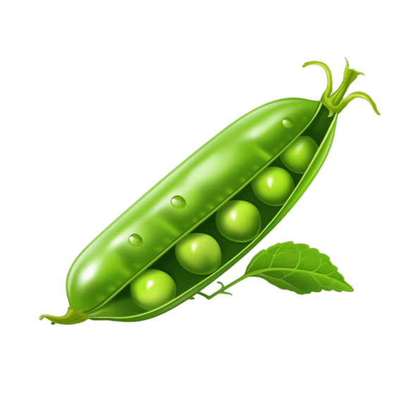 创意艺术新鲜豌豆蔬菜农作物元素免抠图案