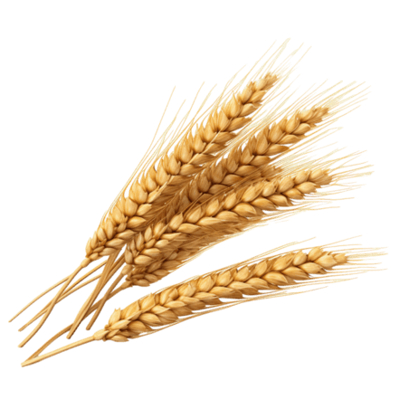 创意金黄稻谷农作物粮食丰收小麦元素立体免抠图案