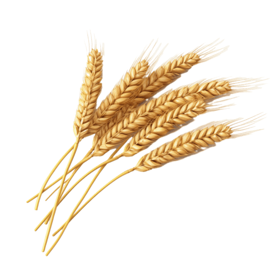 创意写实农作物粮食丰收小麦金黄稻谷元素立体免抠图案