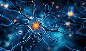 创意人类的神经中枢DNA神经元细胞分子结构