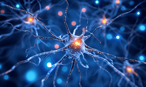 创意人类的神经中枢细胞分子结构神经元