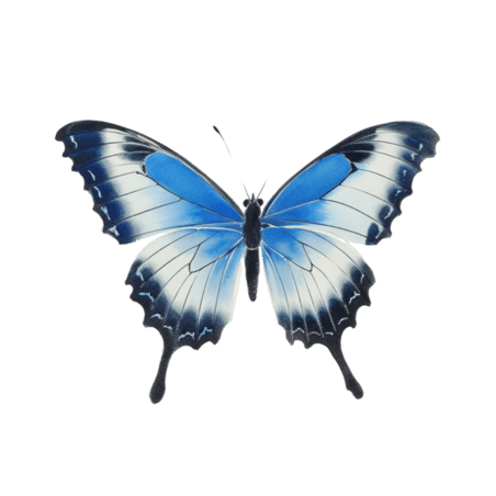 创意真实美丽蝴蝶水彩蓝色元素免抠图案