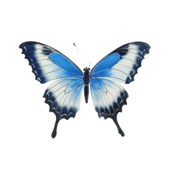 创意真实美丽蝴蝶水彩蓝色元素免抠图案