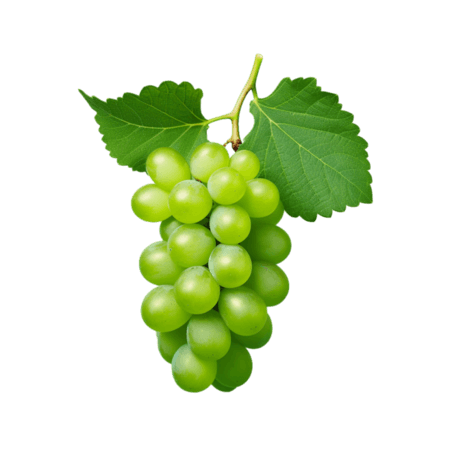 创意果实水果青提青色葡萄元素免抠图案