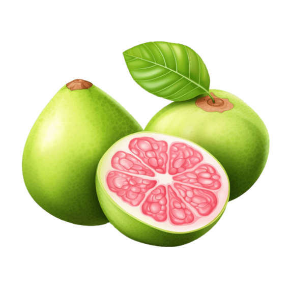 创意数字艺术水果植物果实西柚元素柚子