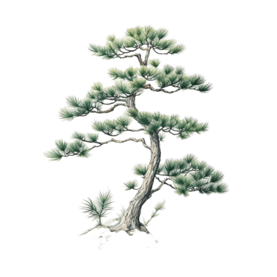 松树植物中国风水墨树木元素免抠图案