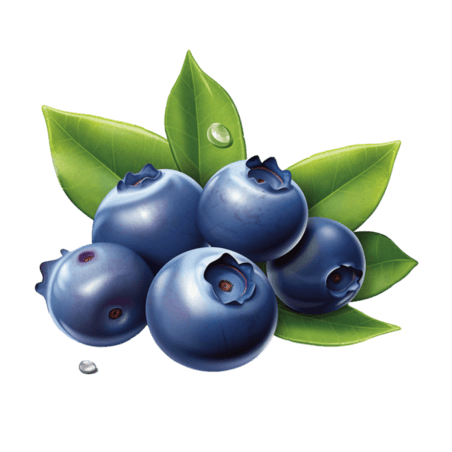 创意真实新鲜蓝莓果实水果元素免抠图案