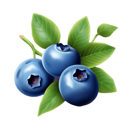 创意ai新鲜蓝莓元素免抠图案果实水果