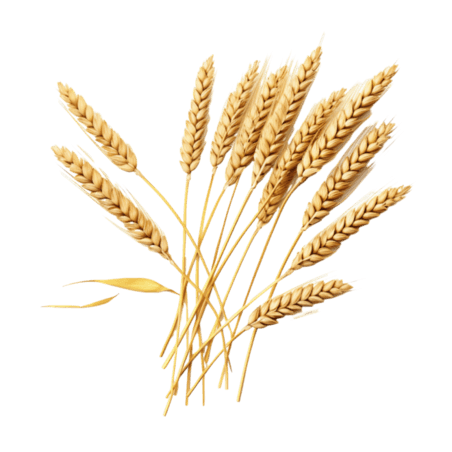 创意3d金黄稻谷农作物植物粮食丰收元素立体免抠图案