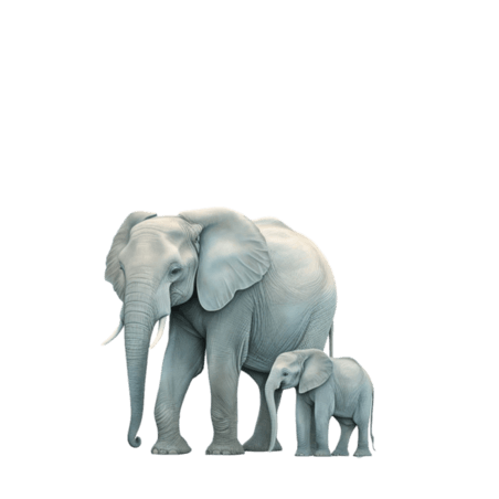 创意简单白色小象卡通动物大象元素免抠图案