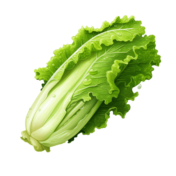 创意3d新鲜蔬菜元素免抠图案农作物生菜