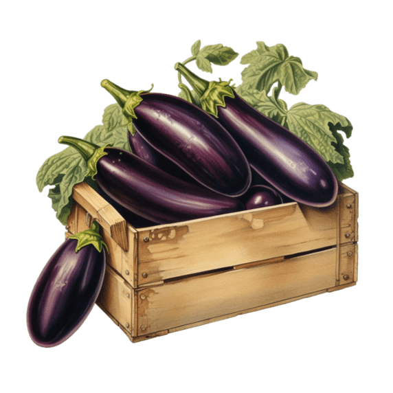 创意真实紫色茄子蔬菜农作物元素免抠图案