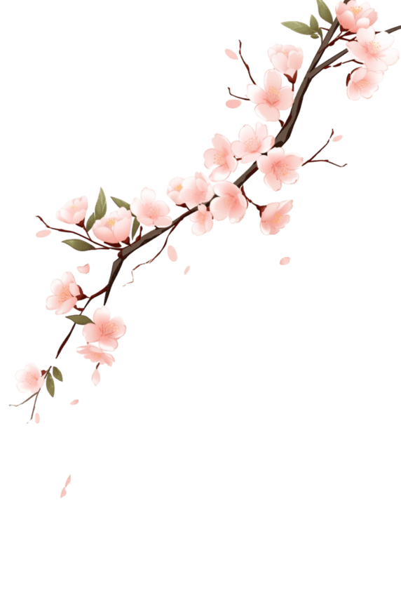 创意手绘春天元素盛开樱花枝桃花树枝