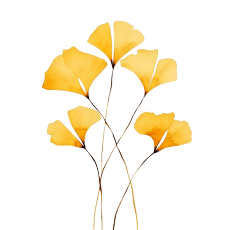 创意数字艺术植物叶子树叶黄色银杏叶元素免抠图案