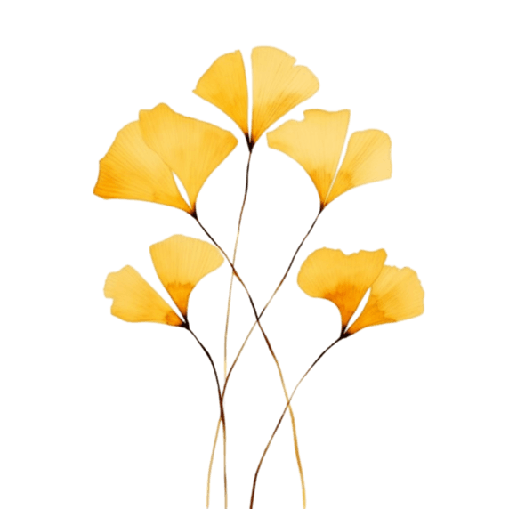 创意数字艺术植物叶子树叶黄色银杏叶元素免抠图案