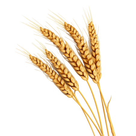 创意建模农作物植物粮食丰收金黄稻谷元素立体免抠图案