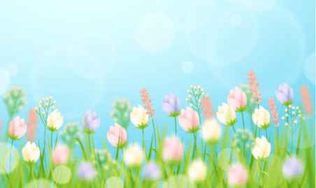 创意唯美绿色清新花边春季春天卡通花园植物花朵郁金香背景