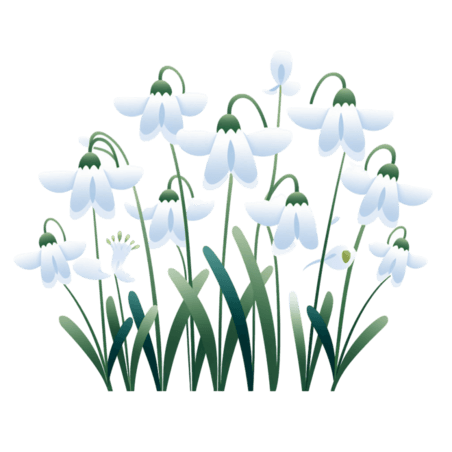 创意数字艺术白色雪兰花元素植物花朵