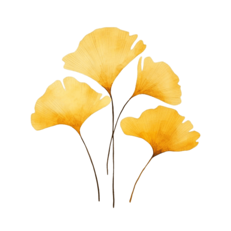 创意特色植物叶子树叶黄色银杏叶元素免抠图案