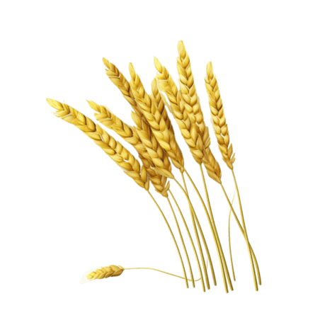 创意艺术金黄稻谷农作物粮食丰收小麦元素立体免抠图案