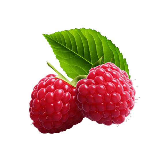创意树莓粉色浆果水果果实元素免抠图案