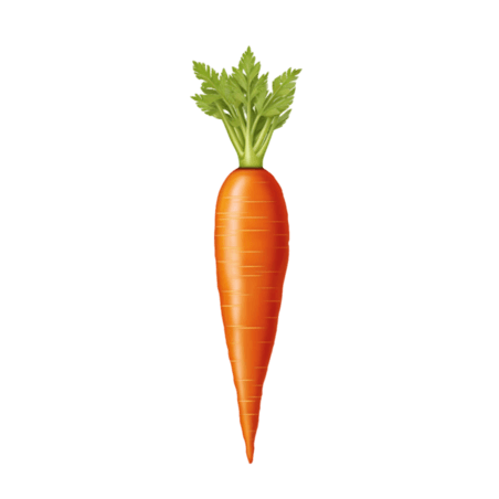 创意纹理蔬菜农作物新鲜胡萝卜元素免抠图案