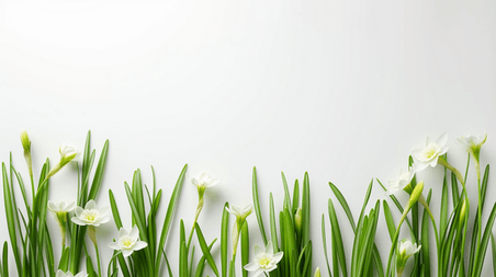 创意春天绿色植物花朵简约白色背景1