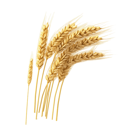 创意几何金黄稻谷元素农作物粮食丰收小麦立体免抠图案