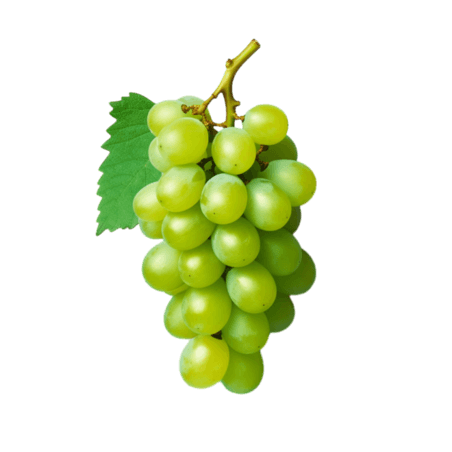 写实葡萄3d素材_写实葡萄海报模板