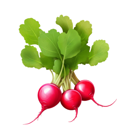 创意农作物蔬菜简洁红色萝卜元素免抠图案