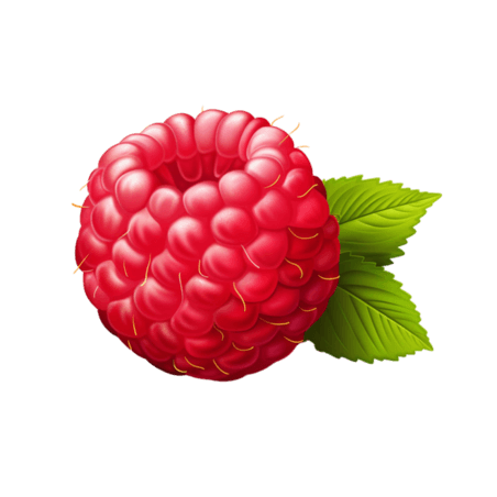 创意树莓果实水果浆果元素免抠