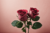 文艺插花艺术植物粉色情人节玫瑰花摄影图